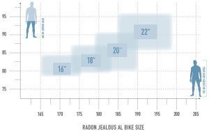 Radon JEALOUS AL 6.0 – Bild 6